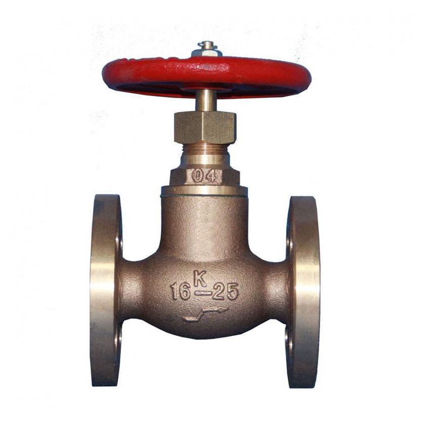 Globe valve 02